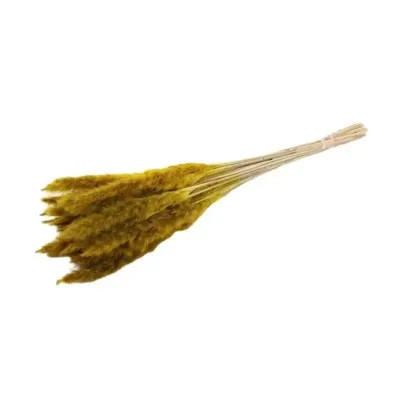 Pampas mazzo giallo (g.35)