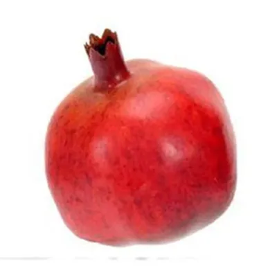 Melograno rosso 