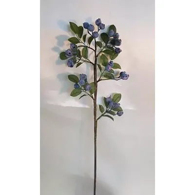 Bacche ramo blu 