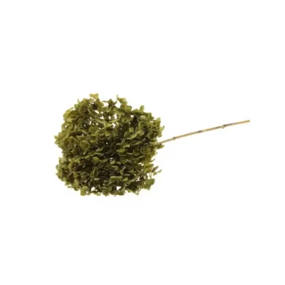Ortensia annabel cm.70 verde