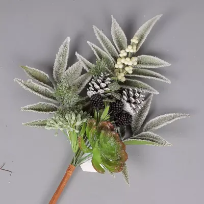 Succulent mazzo con pigne e neve