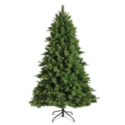 Albero edmonton spruce h.300