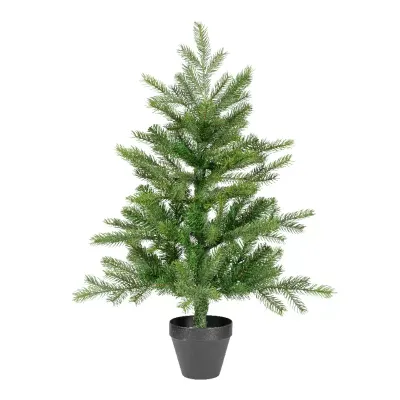 Albero grandis h.075