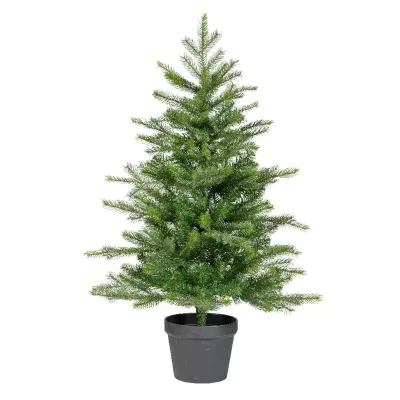 Albero grandis h.090
