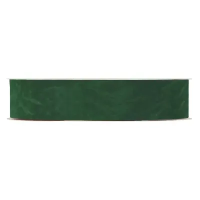 Nastro dbl velvetmm.40 m.30 verde 