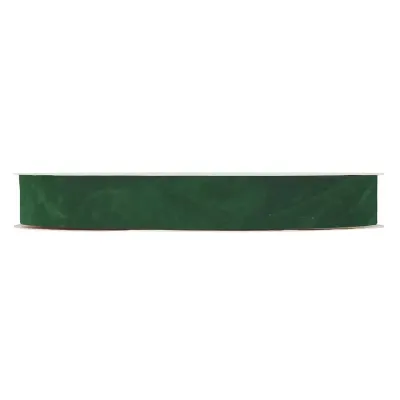 Nastro dbl velvetmm.25 m.30 verde