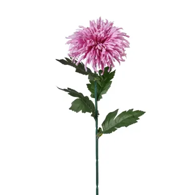 Crisantemo cm.73 fucsia