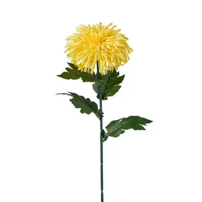 Crisantemo cm.73 giallo