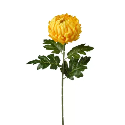 Crisantemo cm.75 giallo