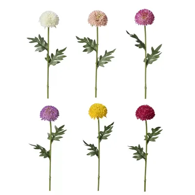 Pom pom ramo cm.56 assortito