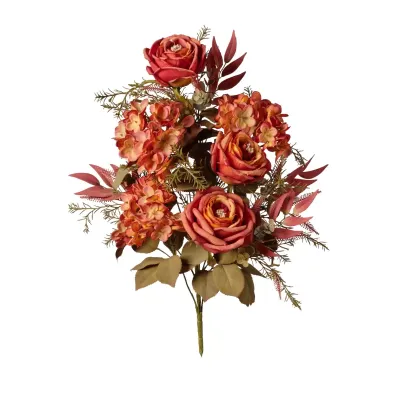 Rosa cabbage front. cm.55 ruggine