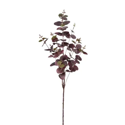 Eucalipto stelo cm.84 viola