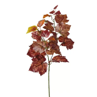Vite ramo cm.64 rosso