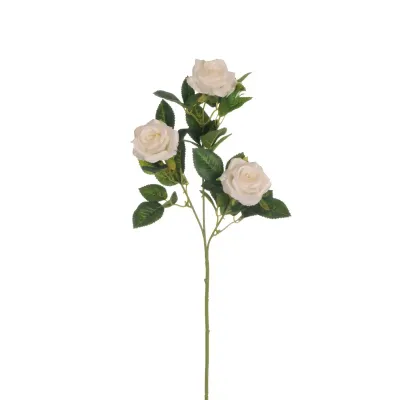 Rosa ramo cm.69 crema
