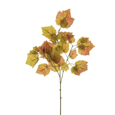 Vite ramo cm.70 verde-rosso
