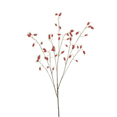 Rosa canina cm.106 rosso