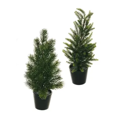 Pinetto assortito h.30