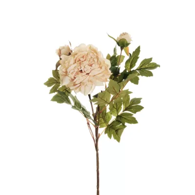 Peonia ramo cm.64 crema
