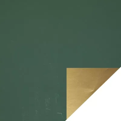 Bobina c 0,70x050 carta pat.dbl verde