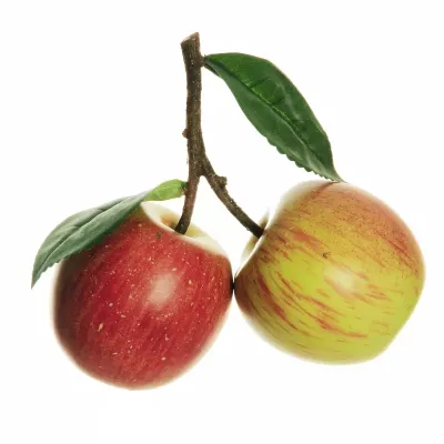 Mele unite cm.8 verde-rosso