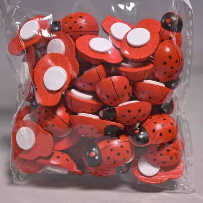 Coccinella adesiva cm.2,5 (pz.40)
