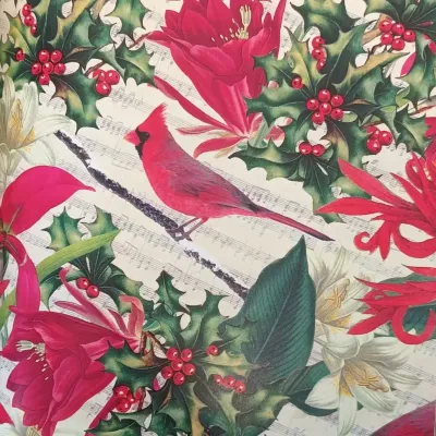 Bobina c 0,70x25 cardinal e holly