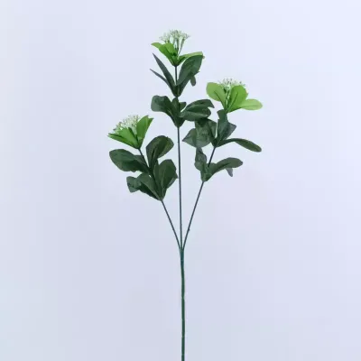 Lauro di monte cm.60 verde