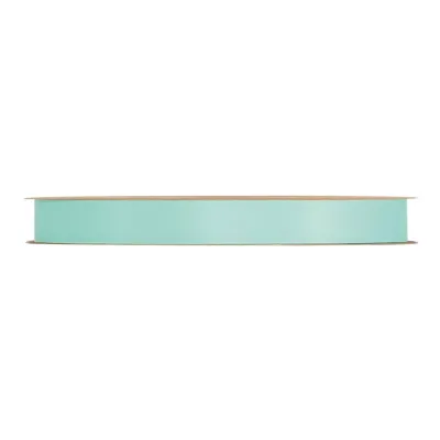 Nastro recyc.pet mm.10 m.20 sea water