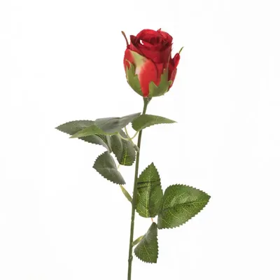 Rosa bocciolo  cm.49 rosso