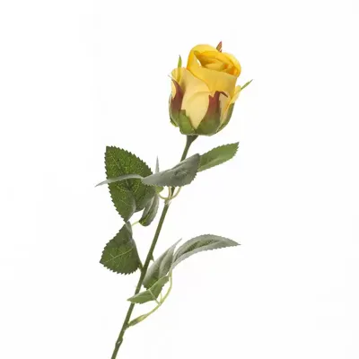 Rosa bocciolo  cm.49 giallo