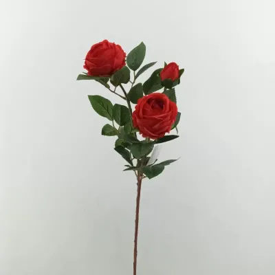 Rosa cabbage ramo x3 cm. 83 rosso