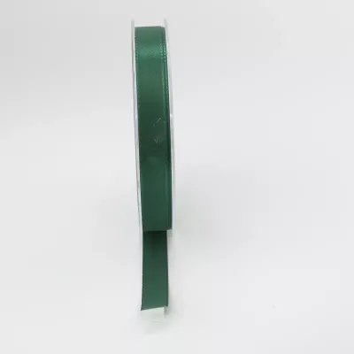Nastro taffeta mm.10 m.50 v.scuro