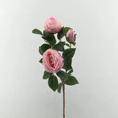 Rosa cabbage ramo x3 cm. 83 rosa