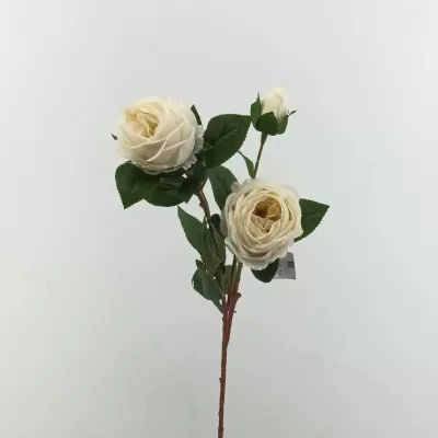 Rosa cabbage ramo x3 cm. 83 crema