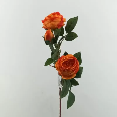 Rosa cabbage ramo x3 cm. 83 arancio