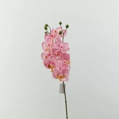 Phalaenopsis  9 fiori cm. 57 beauty