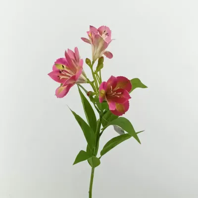 Alstromeria ramo cm.73 beauty