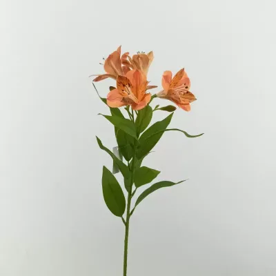 Alstromeria ramo cm.73 arancio
