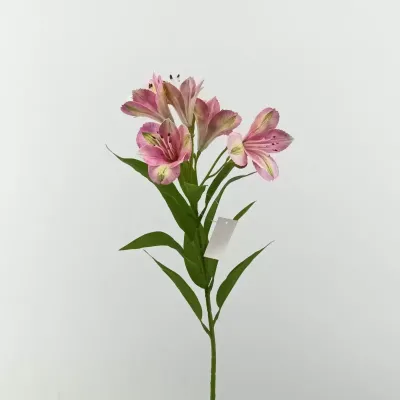 Alstromeria ramo cm.73 rosa