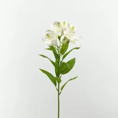 Alstromeria ramo cm.73 bianco
