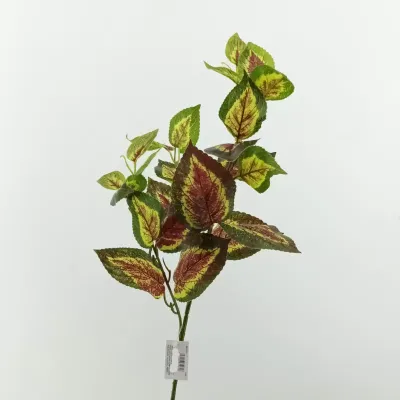 Coleus ramo cm. 67 rosso verde