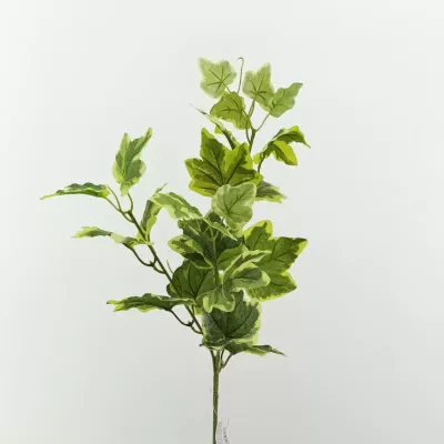 Edera ramo cm.67 variegato