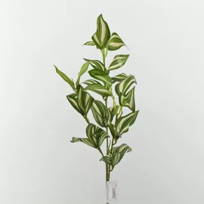 Tradescantia ramo cm. 67 crema verde