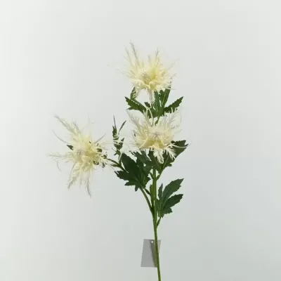 Cardo ragno cm.67 bianco