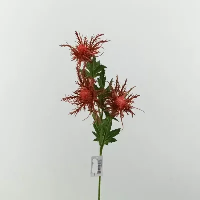 Cardo ragno cm.67 bordeaux