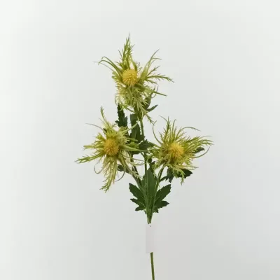 Cardo ragno cm.67 bianco verde