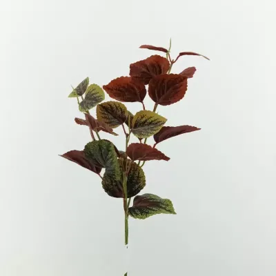 Coleus ramo cm. 63 mattone-verde