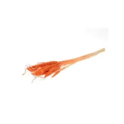 Canary millet cm.70 arancione (gr.100)