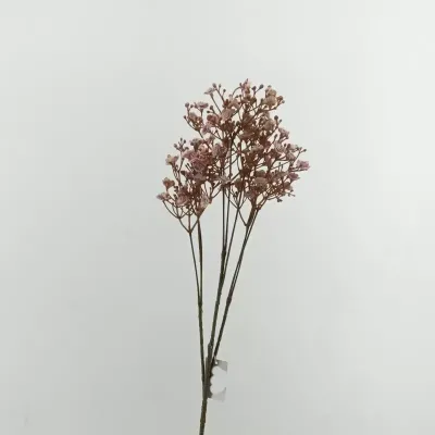 Gypsophila ramo cm.70 mauve