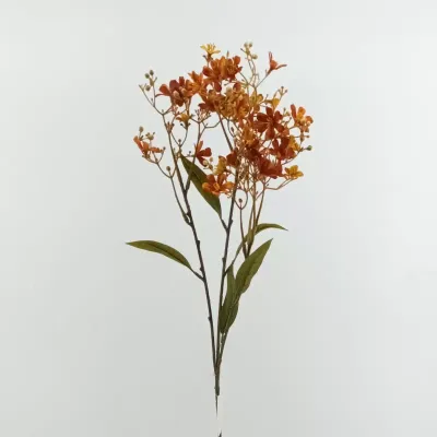 Daphne ramo cm.72 arancione